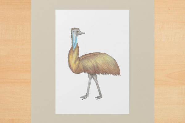 Emu A6