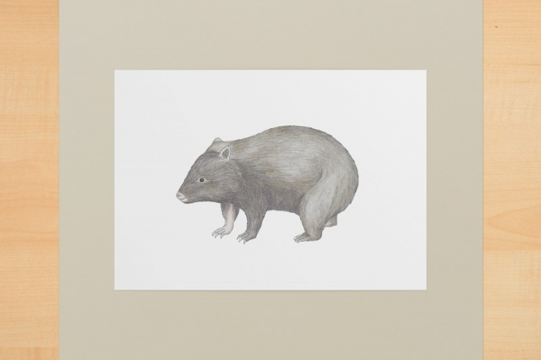 Wombat A5