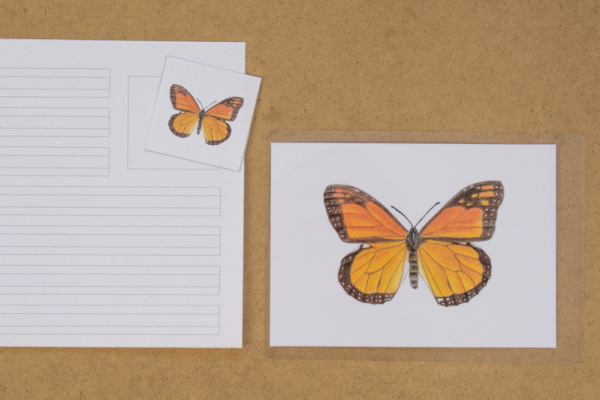 abschreibekartei_nordamerika3