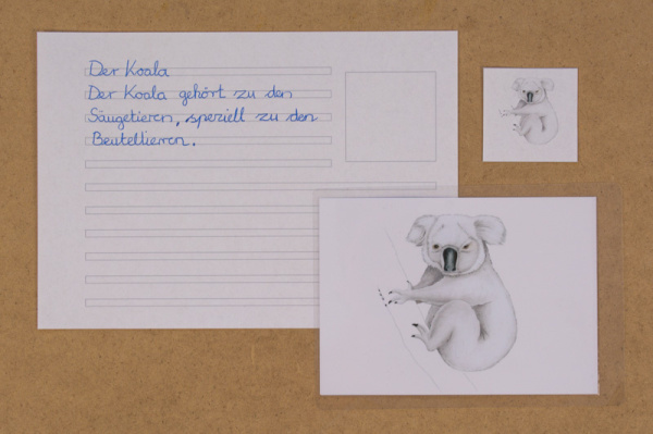 abschreibekartei_ozeanien2