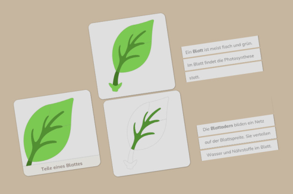 definition_blatt_kinderhaus_3