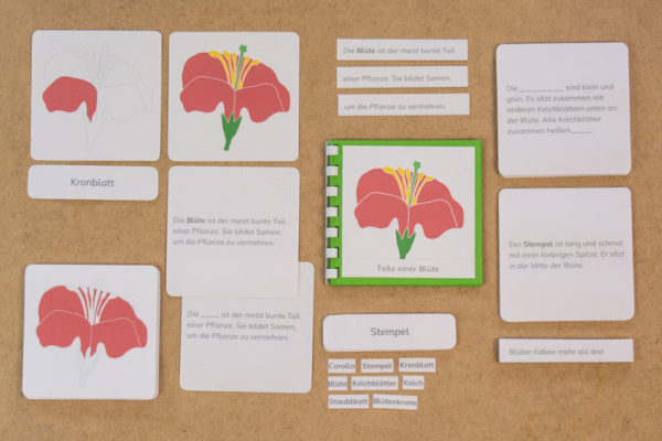 definition_bluete_kiha2