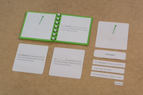 definition_bluete_kiha7