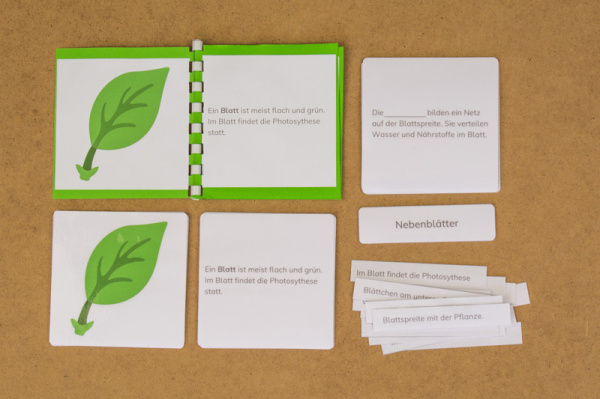 definitionsmaterial_teile_blatt_kinderhaus