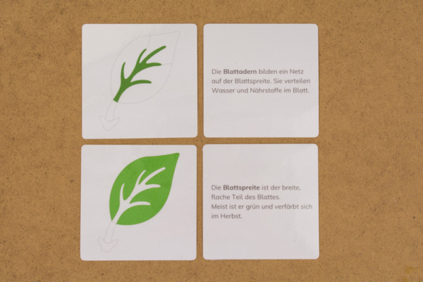 definitionsmaterial_teile_blatt_kinderhaus3