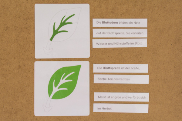 definitionsmaterial_teile_blatt_kinderhaus5