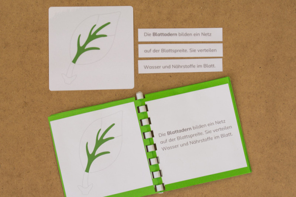 definitionsmaterial_teile_blatt_kinderhaus6