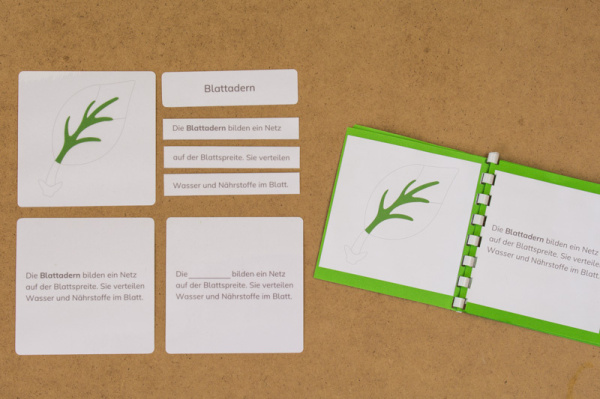 definitionsmaterial_teile_blatt_kinderhaus7