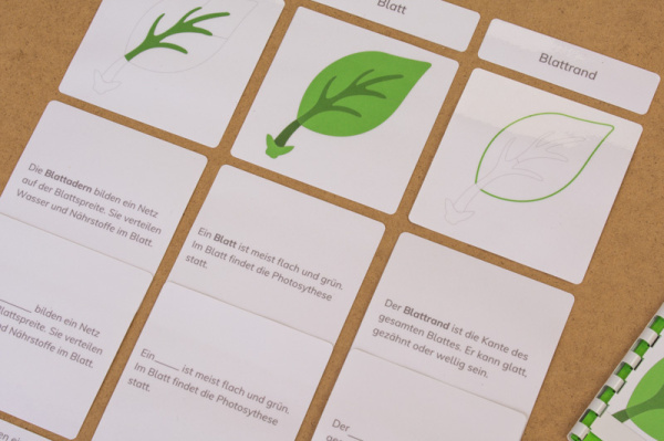 definitionsmaterial_teile_blatt_kinderhaus9