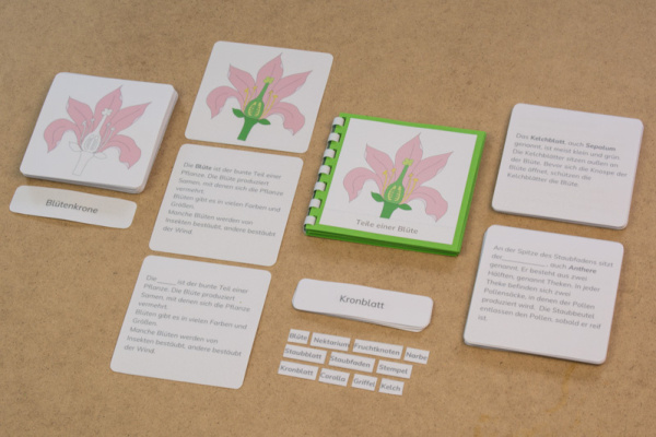 definiton_bluete_prim