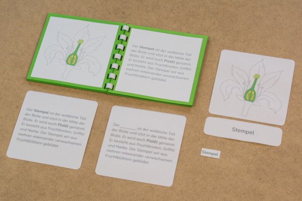 definiton_bluete_prim5