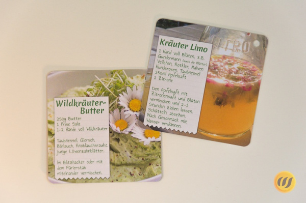 Wildkräuter - 12 Entdeckerkarten - 12 Rezepte (3. Auflage)