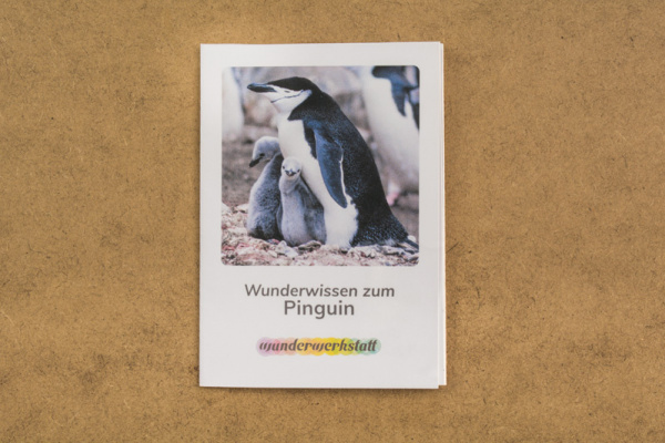 faltbuechlein_pinguin_2089135606