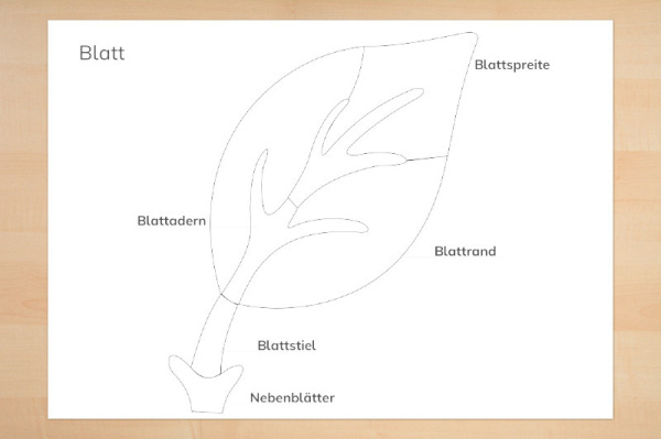 kontrollkarten_blatt_1