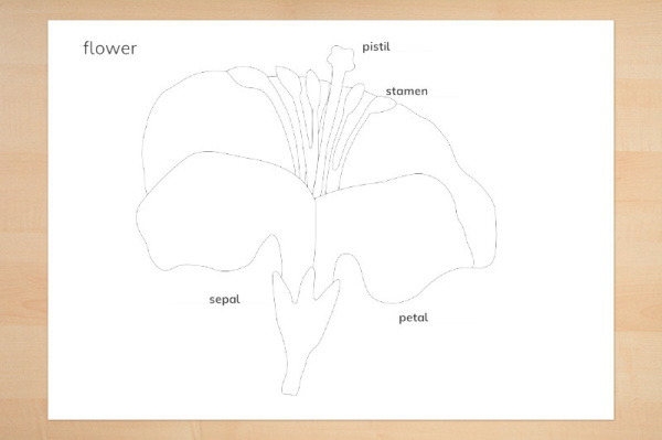 kontrollkarten_bluete_2