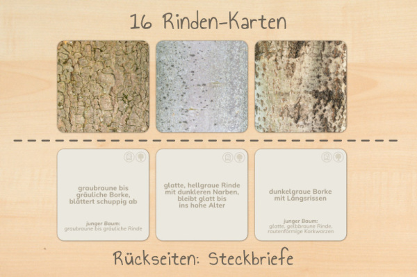 laubwerkstatt_druck7