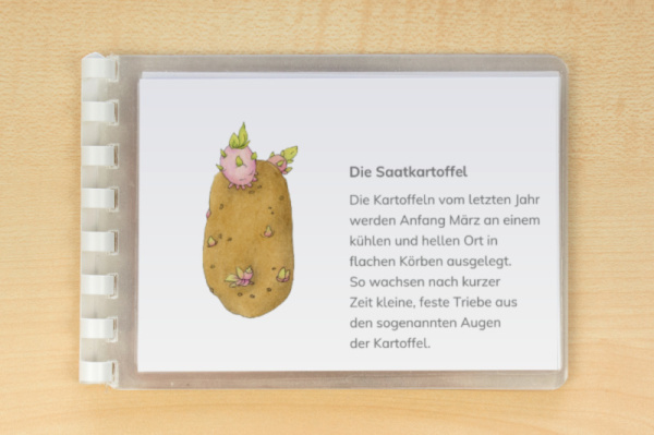 leseheft_kartoffel_download_2