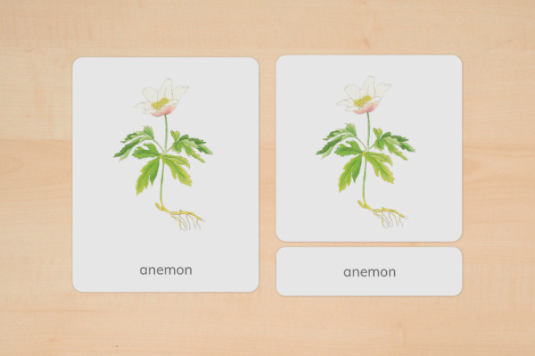 nomen_fruehblueher_tuerkisch_2