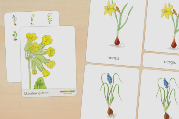 nomen_fruehblueher_tuerkisch_titel_1