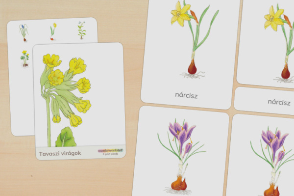 nomen_fruehblueher_ungarisch_titel_1