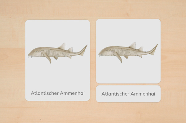 nomen_haie_download_1