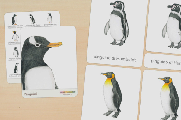 nomen_pinguine_italienisch_titel_1
