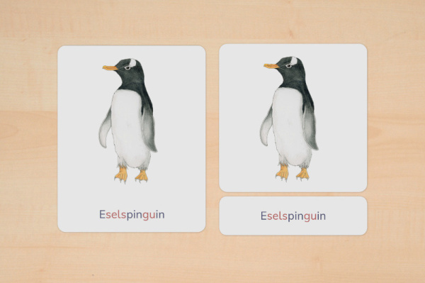 nomen_pinguine_silben_1