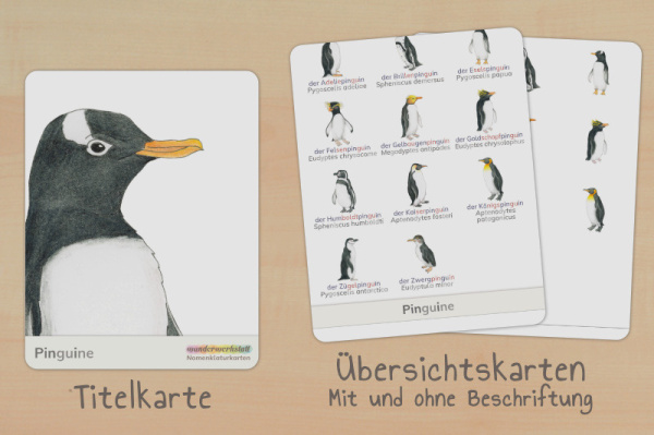 nomen_pinguine_silben_titel_2