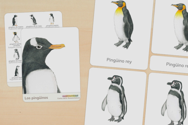 nomen_pinguine_spanisch_titel_1