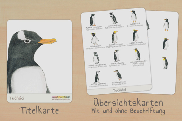 nomen_pinguine_tschechisch_titel_2