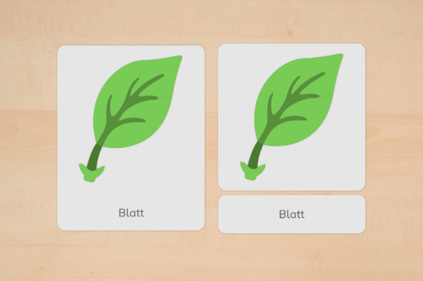nomen_teile_blatt_1