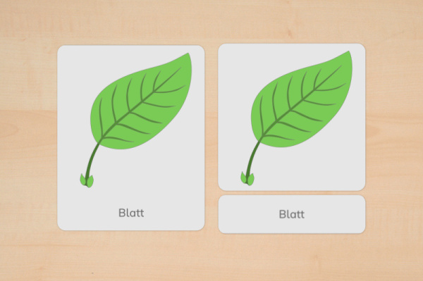 nomen_teile_blatt_prim_1