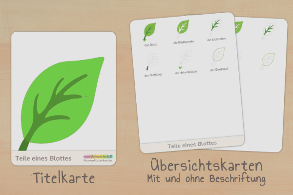 nomen_teile_blatt_titel_2