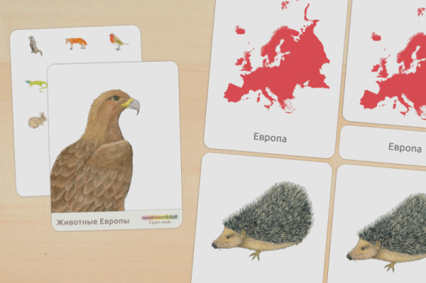 nomen_tiere_europa_russisch_titel_1