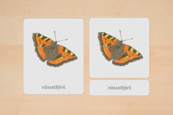 nomen_tiere_europa_schwedisch__2