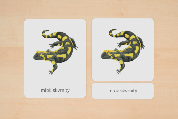 nomen_tiere_europa_tschechisch_1