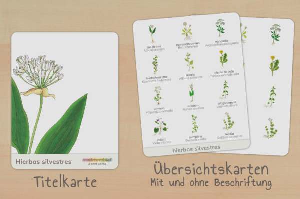 nomen_wildkraeuter_spanisch_titel_2