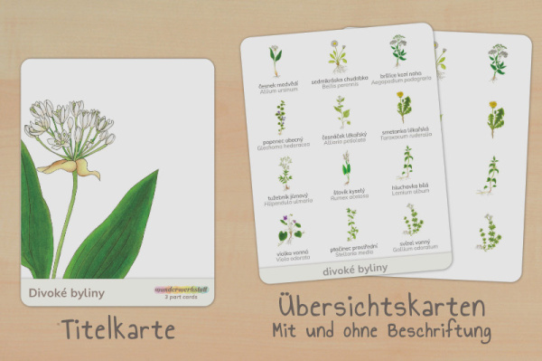 nomen_wildkraeuter_tschechisch_titel_2