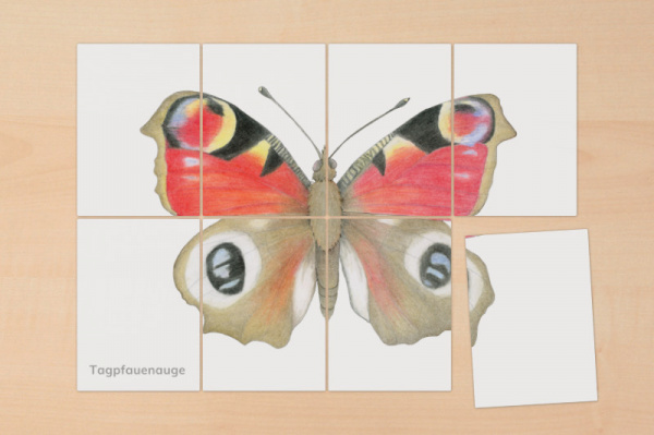puzzle_raupe_schmetterling6
