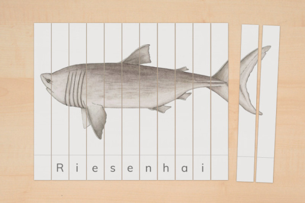 streifenpuzzle_haie2