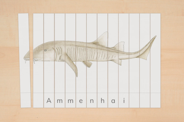 streifenpuzzle_haie4
