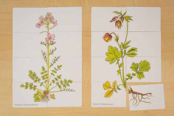 wiesenblumen_puzzle2