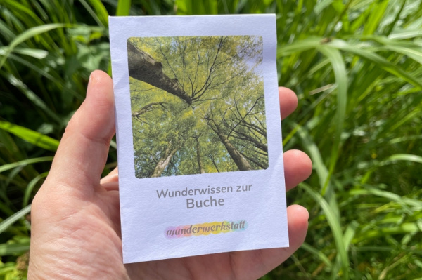 wunderwissen_buche_titel