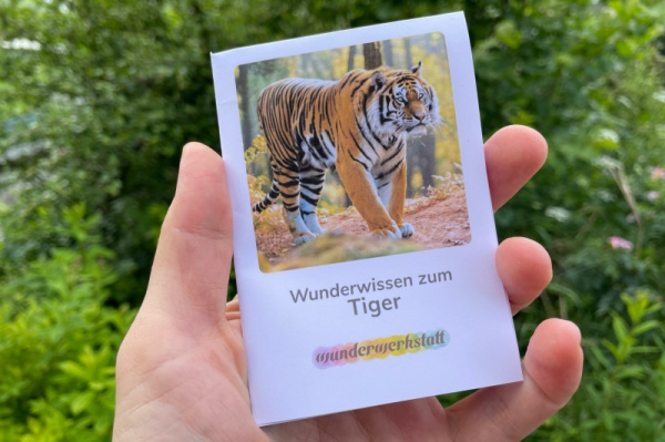 wunderwissen_faltbuechlein_tiger