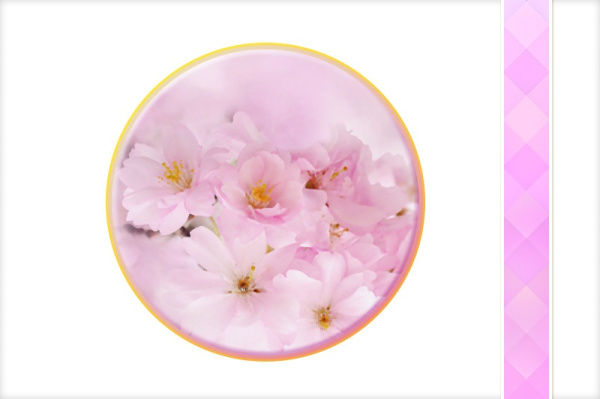 _frhling_paket