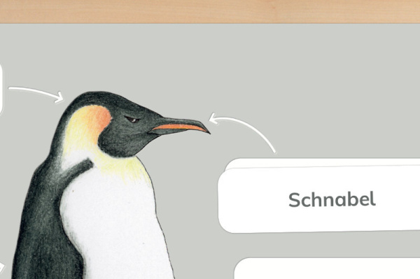 Profidruck beschichtet