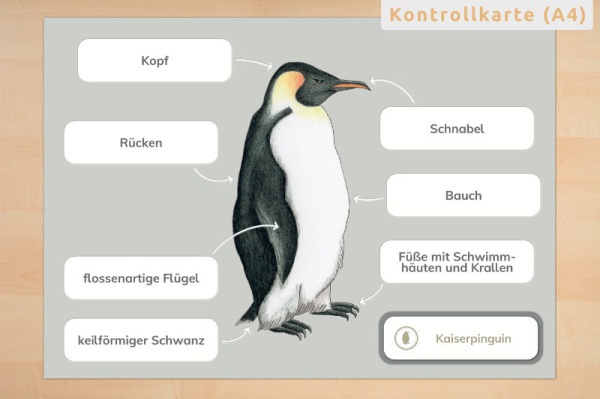 Profidruck beschichtet