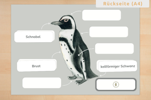 Profidruck beschichtet