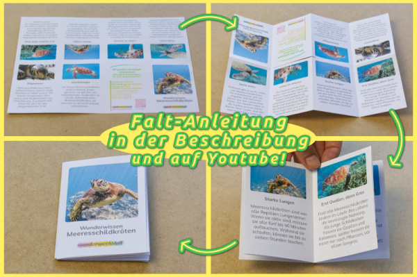 Faltbüchlein: "Wunderwissen Salzseen" (Download)