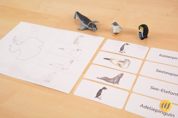 Download-Paket: Tiere der Antarktis